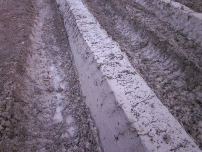 星空手机入口作业效果